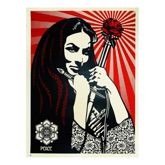 Collection Art & Résistance - Inspiration Shepard Fairey