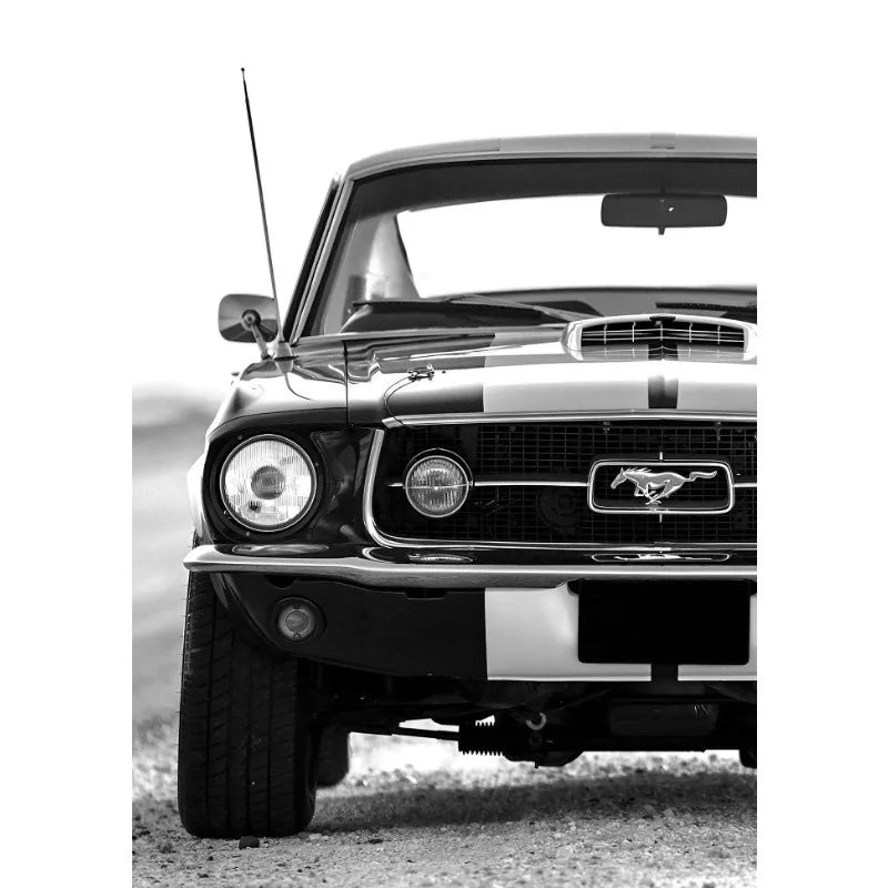 Collection Auto de Légende – Style Photographique